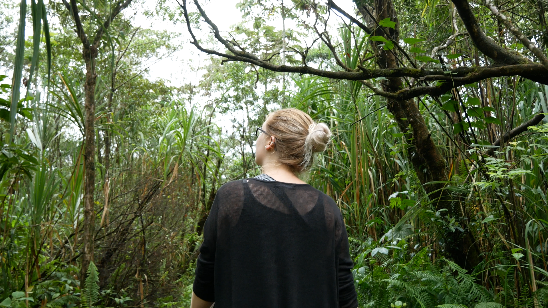 Screenshot 2019-11-16 19.43.13