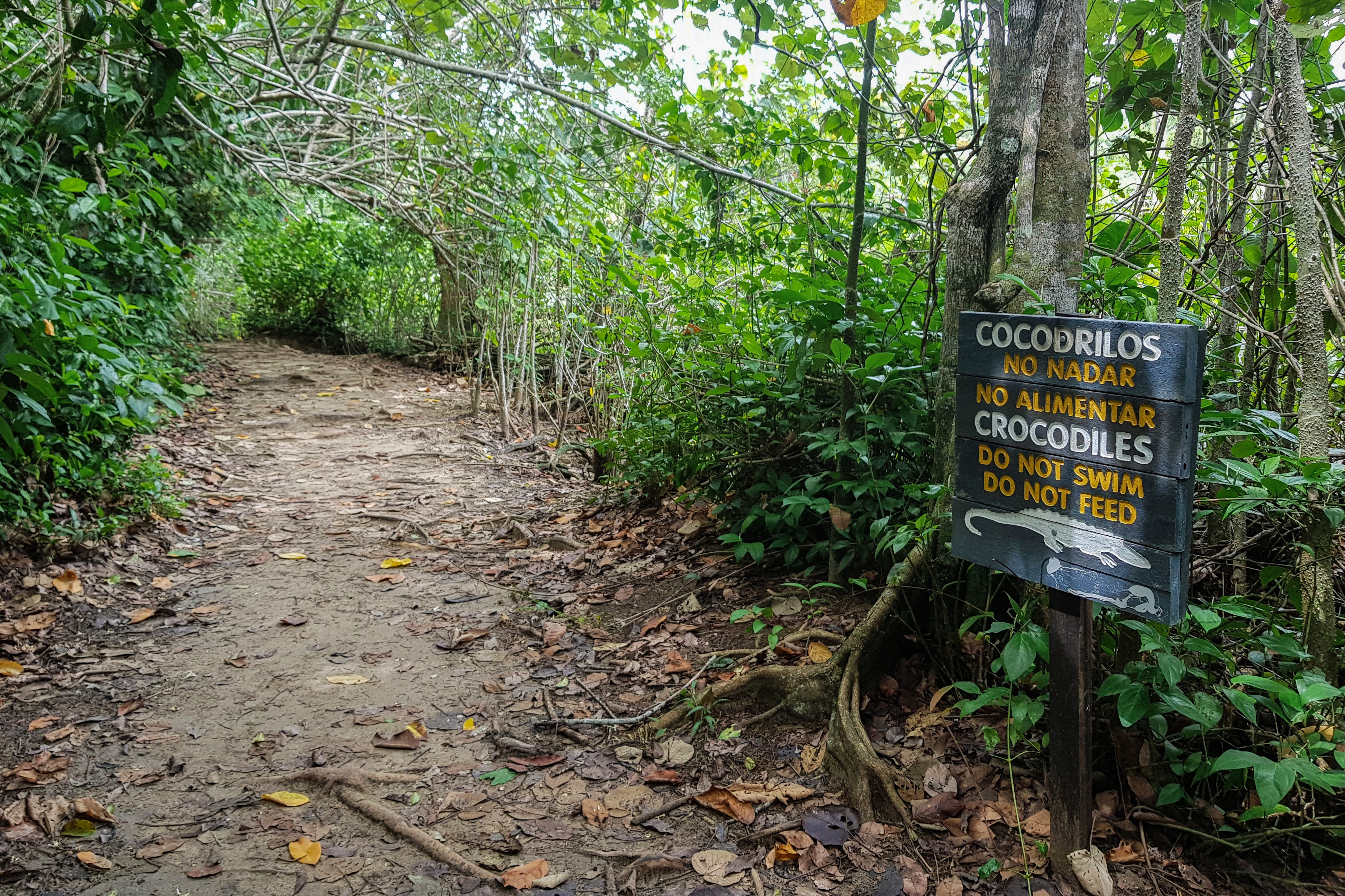 20190625_130652 (2) Kopie